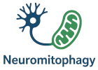 Neuromitophagy ELIDEK